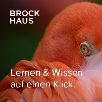Enzyklopädie