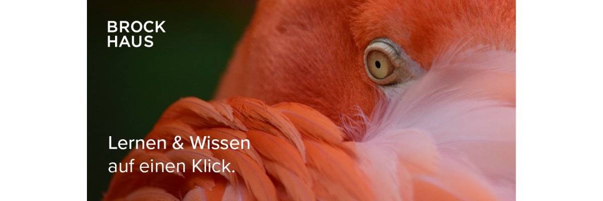 Brockhaus_Header
