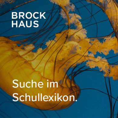 Schullexikon_logo