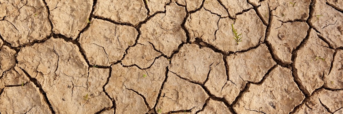 Texture dried earth